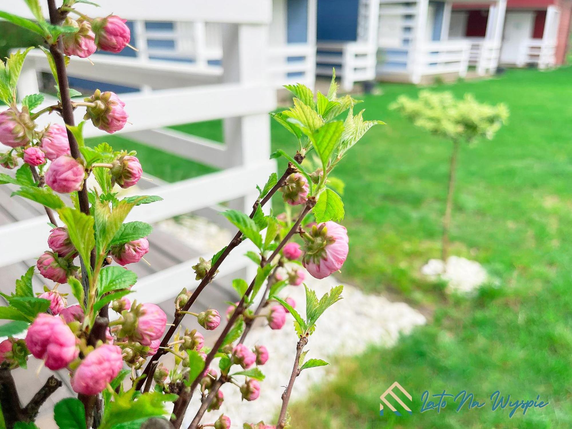 Lato Na Wyspie Villa Гданск Екстериор снимка